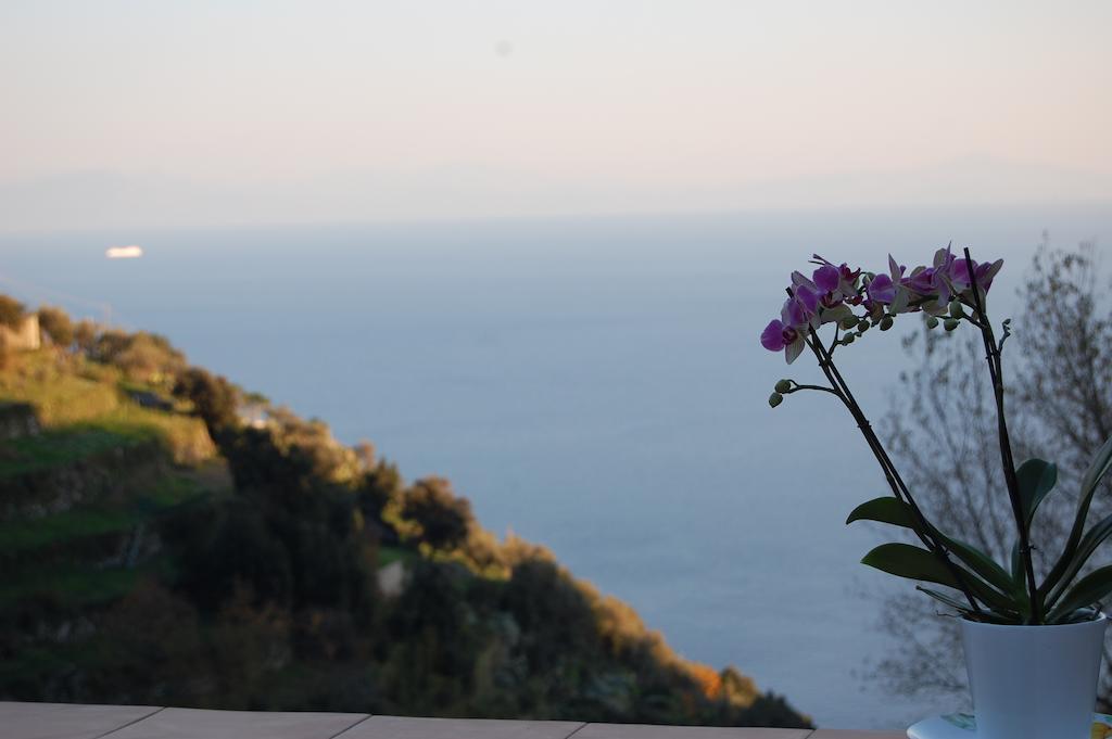 Tenuta Mamma Carmela Amalfi Eksteriør bilde